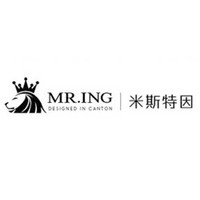 Mr.ing/米斯特因