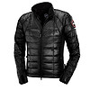 Canada Goose 加拿大鹅 Hybridge Lite 男士运动羽绒服 2701M 黑色 L