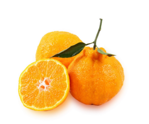 四川不知火蜜柑 2kg装