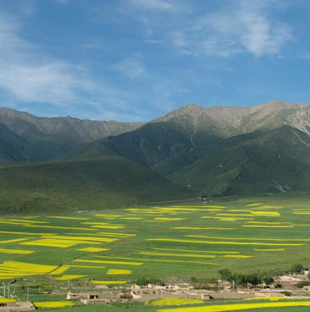 专题：寻找花姑娘——春季油菜花观赏地推荐