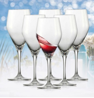 SCHOTT ZWIESEL 肖特圣维莎 Audience红葡萄酒杯6件套