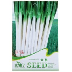 大葱 蔬菜种子 80粒/袋