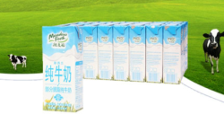 Meadow Fresh 纽麦福 部分脱脂牛奶 250ml*24