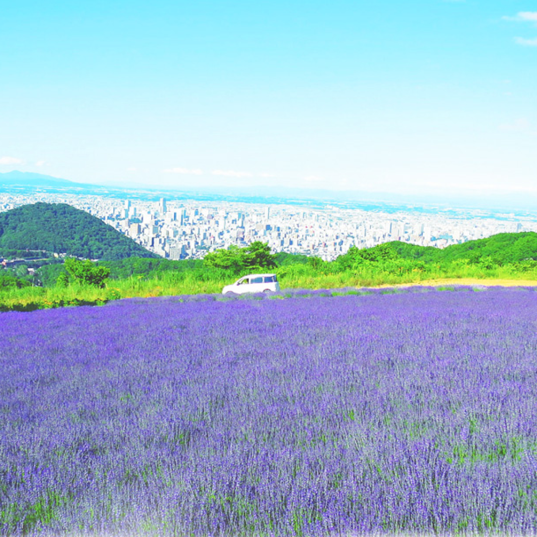 圆梦日本，北海道道东7天6晚自由行