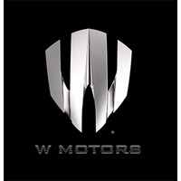 W MOTORS