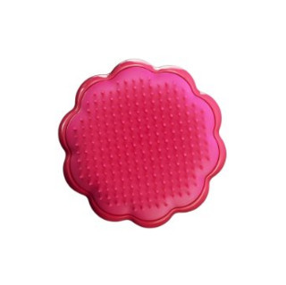 TANGLE TEEZER Magic Flowerpot Detangling Hairbrush 花盆造型 顺发梳