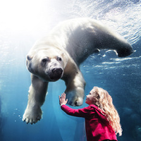 欧洲自由行申根签经验分享 | 北欧南欧各国签证