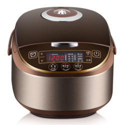 Midea 美的 WFS5017TM 电饭煲 5L