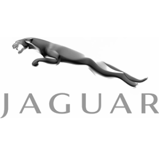 JAGUAR/捷豹