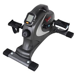 SUNNY HEALTH & FITNESS SF-B0418 家用迷你脚踏车 