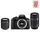 Canon 佳能 EOS750D 数码单反相机 套机双镜头套装(EF-S18-55mmf/3.5-5.6ISSTM&EF-S55-250mm）