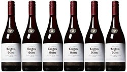Casillero del Diablo 红魔鬼 黑皮诺红葡萄酒 750ml*6瓶