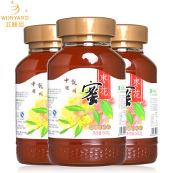 五蜂园 野生 枣花 土蜂蜜 500g
