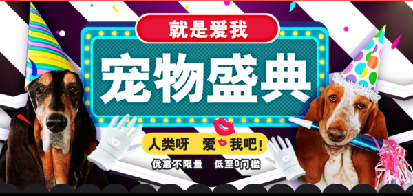狗民网 宠物盛典