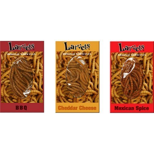 Hotlix是一家专门做各种昆虫零食的品