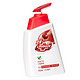 Lifebuoy 卫宝 先进抗菌洗手液 450ml*10件+赠 补充装 400ml*5件