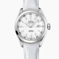 OMEGA 欧米茄 海马系列 Aqua Terra 231.13.34.20.04.001 女款机械表 