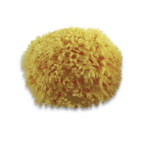 NUK 天然海洋沐浴海绵