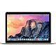 Apple 苹果 MacBook 12英寸 笔记本电脑（8GB 256GB SSD）