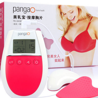 PANGAO/攀高 FB-9403E2 SPA按摩胸片