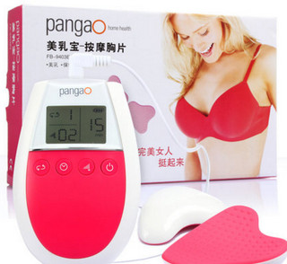  PANGAO 攀高 FB-9403E2 SPA按摩胸片 