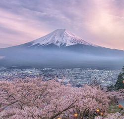 日本三年多次往返旅游签证（北京领区）