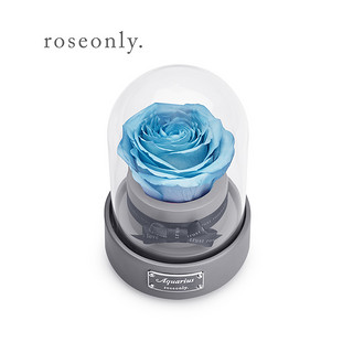 Roseonly 星座经典 水瓶座