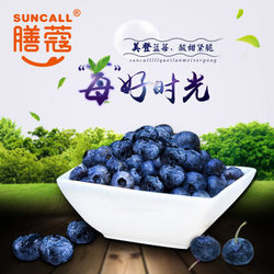 预售：suncall 膳蔻 美登蓝莓鲜果 长白山种植4*125g