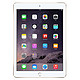 Apple 苹果 iPad Air 2 MH0W2CH/A Wlan版 9.7英寸 平板电脑 16GB金色