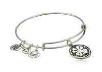 美国亚马逊 ALEX AND ANI 精选手镯专场