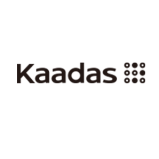 kaadas/凯迪仕