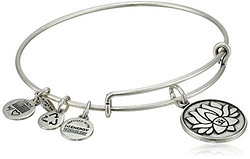 ALEX AND ANI 手镯