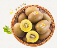 Zespri 佳沛 新西兰阳光金奇异果巨无霸 原箱 3.3kg 