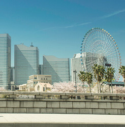 日本三年多次往返旅游签证（北京领区） 