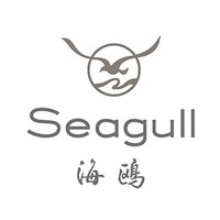 海鸥相机 Seagull