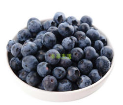 鲜蓝莓  125g*12
