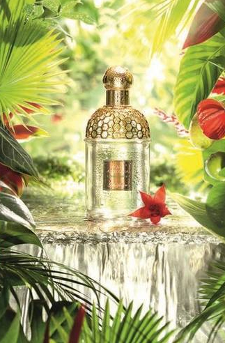 guerlain娇兰aquaallegoria花草水语系列中性淡香水125ml