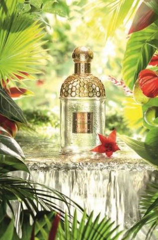 guerlain娇兰aquaallegoria花草水语系列limonverde中性淡香水125ml