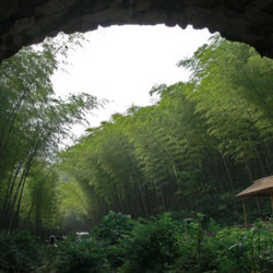 江苏无锡 宜兴花园豪生大酒店 豪华房1晚 含双份早餐+宜兴竹海风景区门票2张