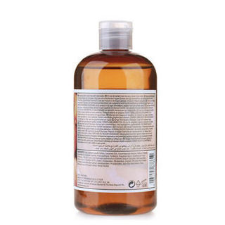 THE BODY SHOP 美体小铺 生姜洗发露 400ml