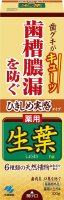 凑单品：KOBAYASHI 小林制药 生叶中药牙膏 100g