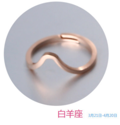 韩国守护十二星座镀18k玫瑰金钛钢情侣戒指