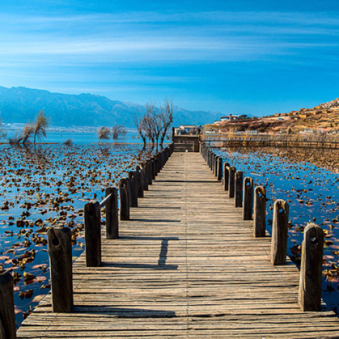 自由行:成都至大理5天4晚 往返含税机票+双廊