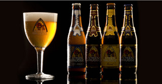 布鲁日 修道院白啤酒 330ml*12瓶 （比利时啤酒）