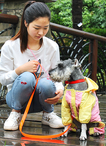 ASUKU 爱斯克 宠物狗运动四脚雨衣（颜色随机）