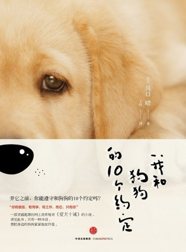《我和狗狗的10个约定》、《我在雨中等你》
