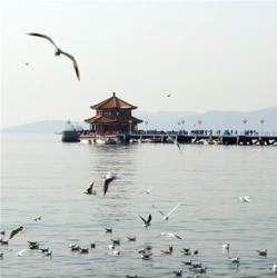 上海-青岛 4天3晚自由行（往返含税机票+途家斯维登酒店3晚）