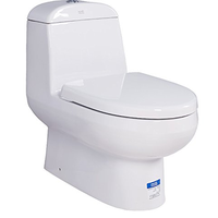 American Standard 美标 CP-2046 吸式座便器 305mm坑距