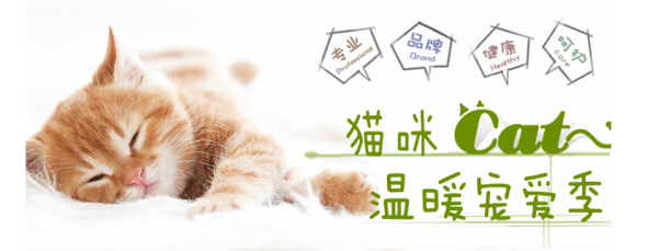 京东 澳吉尔 猫粮专场满减活动