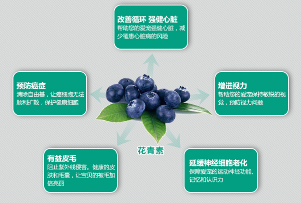 京东 澳吉尔 猫粮专场满减活动
